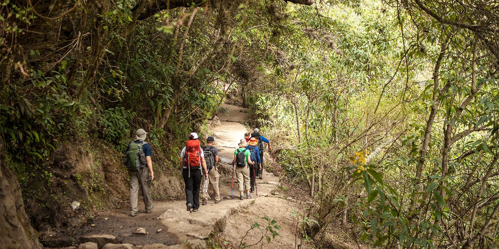 Caminhada pela Trilha Inca até Machu